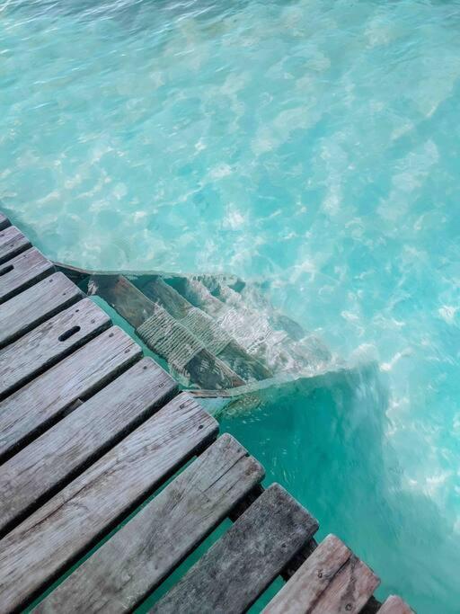 Vacation Home Blue Lotus Caye Caulker Ngoại thất bức ảnh