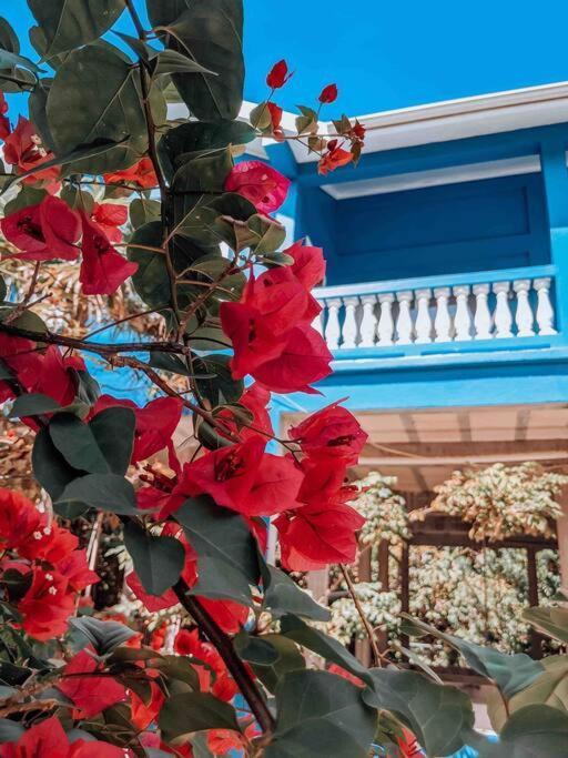 Vacation Home Blue Lotus Caye Caulker Ngoại thất bức ảnh